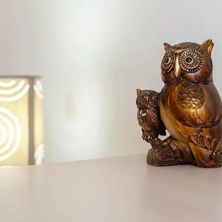 Miraflores 公寓 阿尔盖罗